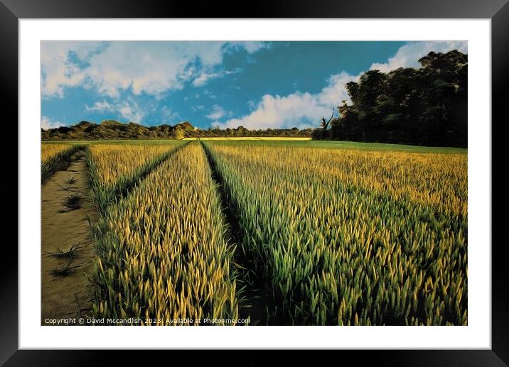 Barley Field  Suffolk Framed Mounted Print by David Mccandlish