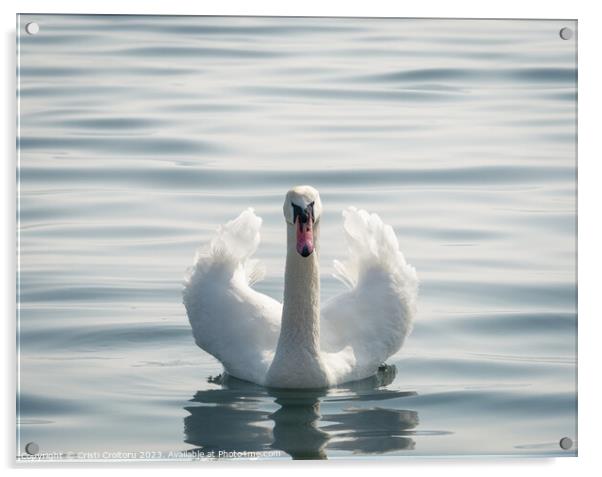 Graceful white swan. Acrylic by Cristi Croitoru