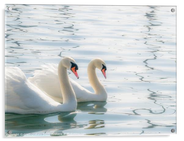 Two graceful white swans. Acrylic by Cristi Croitoru
