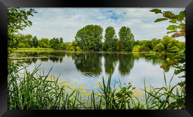 Langford Lakes Nature Reserve, Salisbury, United Kingdom  Framed Print by Michaela Gainey