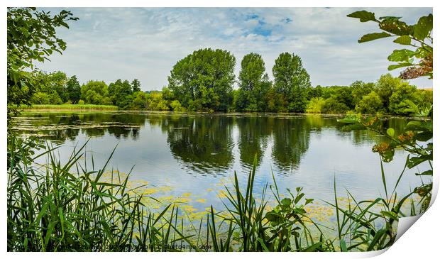 Langford Lakes Nature Reserve, Salisbury, United Kingdom  Print by Michaela Gainey