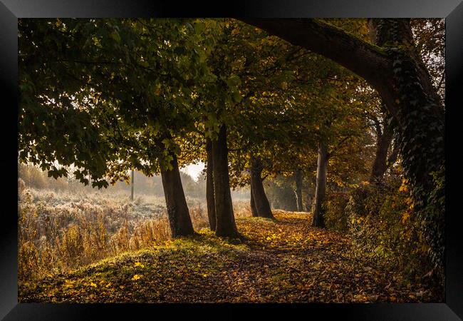 Coate Water Country park, United Kingdom, UK Framed Print by Michaela Gainey