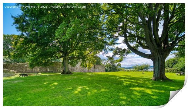The grounds of the Loch Leven Castle Print by Navin Mistry