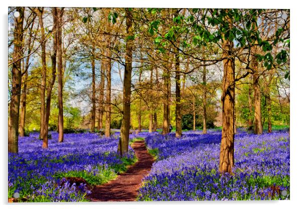 Enchanting Bluebell Woods: Oxfordshire's Spring De Acrylic by Andy Evans Photos
