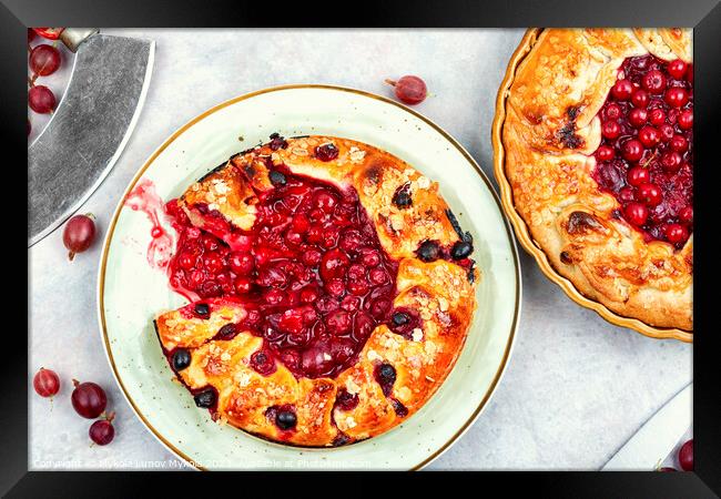 Open summer pie or galette with berries. Framed Print by Mykola Lunov Mykola
