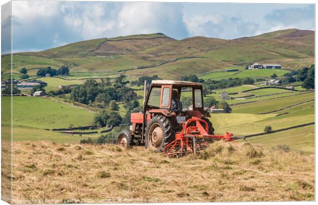 Hay Making in Lunedale Canvas Print by Richard Laidler
