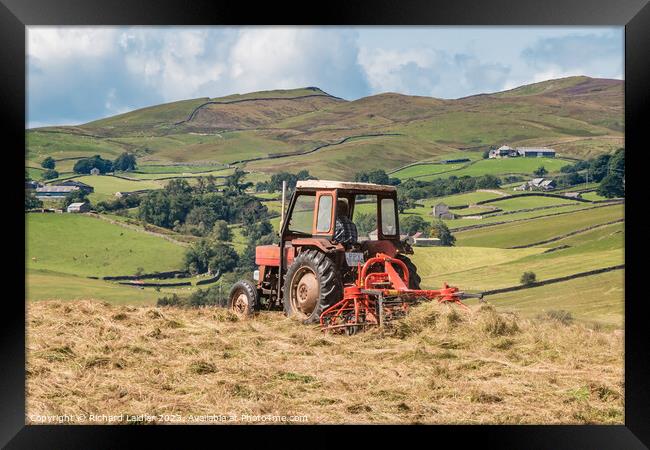 Hay Making in Lunedale Framed Print by Richard Laidler