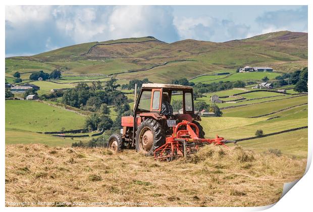 Hay Making in Lunedale Print by Richard Laidler