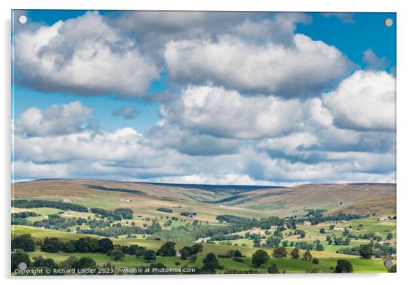 The Hudes Hope from Harker Hill, Teesdale Acrylic by Richard Laidler