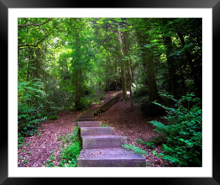 Dale Coppice steps Framed Mounted Print by simon alun hark