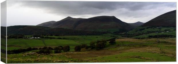View from Low Rigg near Keswick towards Skiddaw and Great Calva Canvas Print by Peter Wiseman