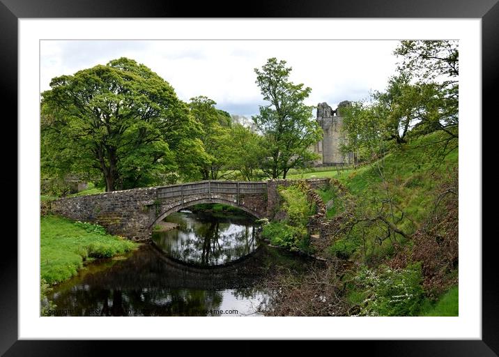 Packhorse bridge at Shap Abbey Framed Mounted Print by Peter Wiseman