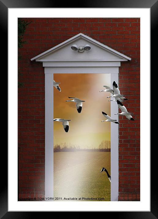 WELCOME HOME Framed Mounted Print by Tom York