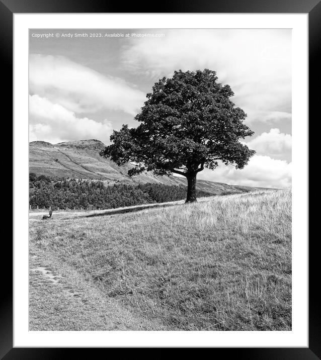 Solitary Sentinel of Dovestones Framed Mounted Print by Andy Smith
