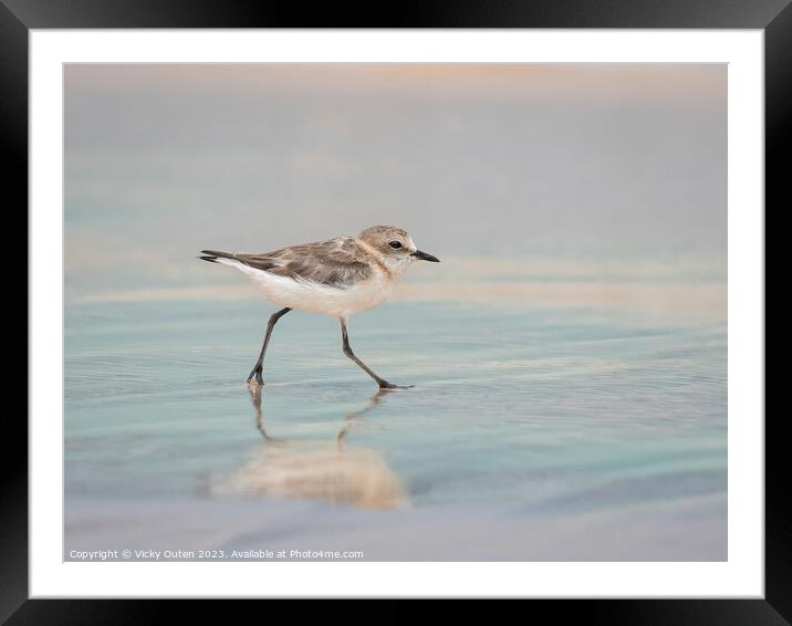 A kentish plover standing on a beach near a body of water Framed Mounted Print by Vicky Outen