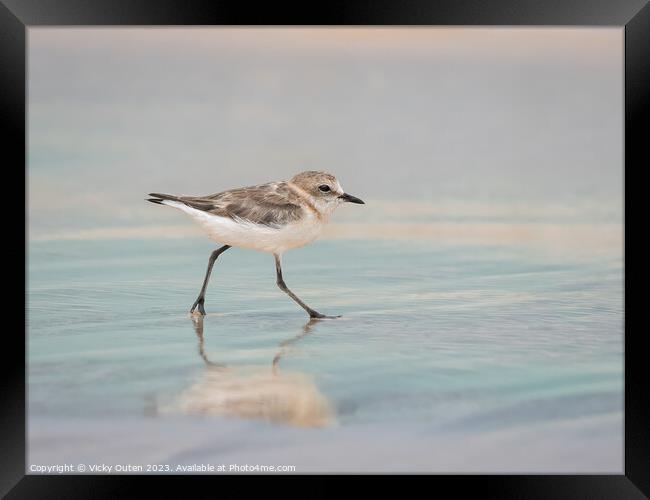 A kentish plover standing on a beach near a body of water Framed Print by Vicky Outen
