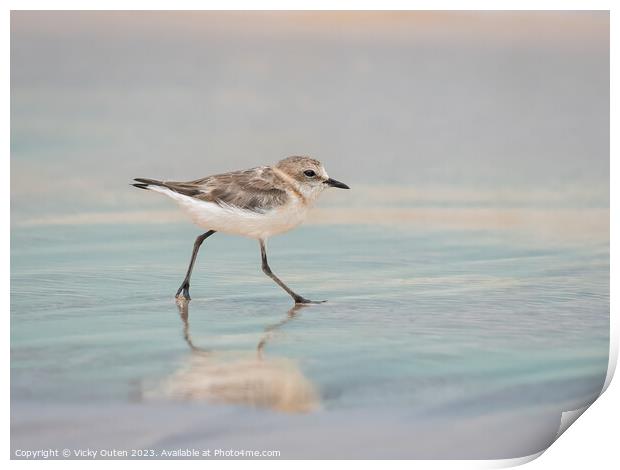 A kentish plover standing on a beach near a body of water Print by Vicky Outen