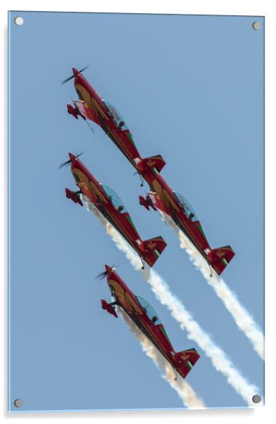 Royal Jordanian Falcons Acrylic by J Biggadike