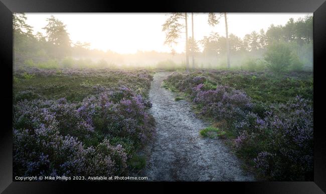 Ethereal Dawn on Esher Common Framed Print by Mike Phillips
