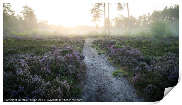 Ethereal Dawn on Esher Common Print by Mike Phillips