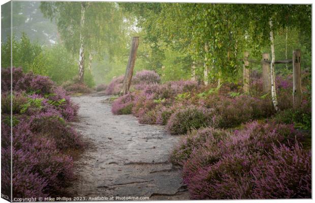 Ethereal Summer Heathland Canvas Print by Mike Phillips