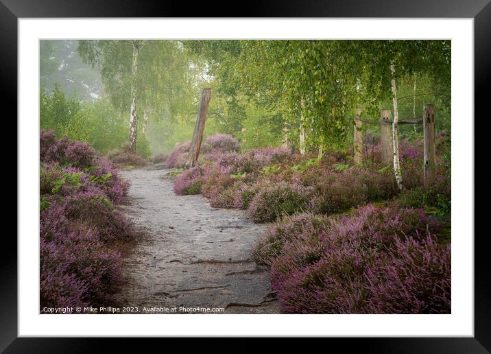Ethereal Summer Heathland Framed Mounted Print by Mike Phillips
