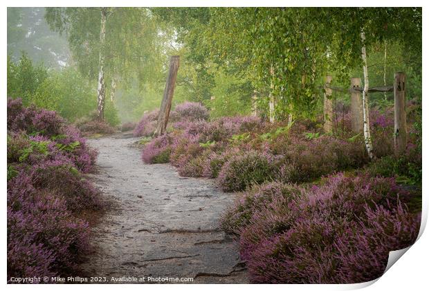 Ethereal Summer Heathland Print by Mike Phillips