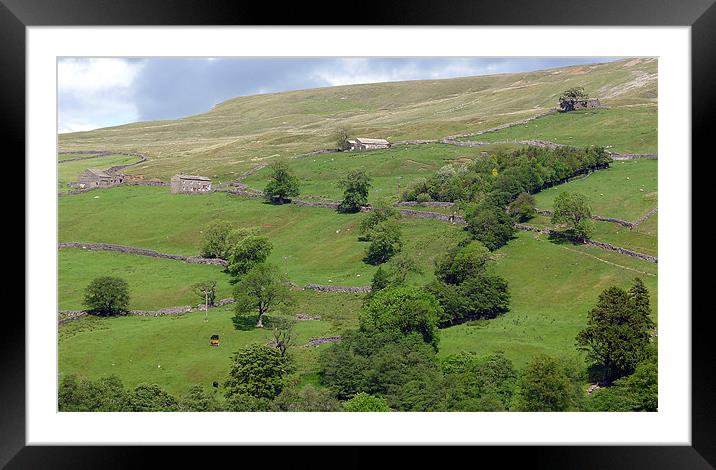 Remote Farmhouse, The Dales. Framed Mounted Print by Greg Osborne