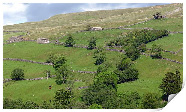 Remote Farmhouse, The Dales. Print by Greg Osborne