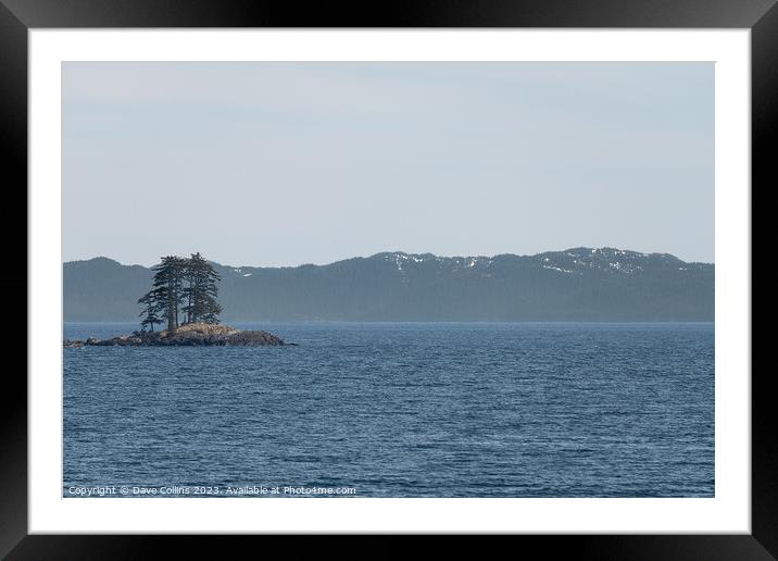 Two trees on a small island in Prince William Sound, Alaska, USA Framed Mounted Print by Dave Collins