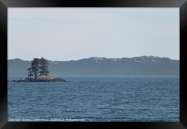 Two trees on a small island in Prince William Sound, Alaska, USA Framed Print by Dave Collins