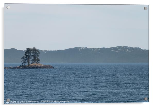 Two trees on a small island in Prince William Sound, Alaska, USA Acrylic by Dave Collins