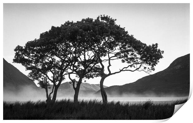 Morning Mist over Crummock Water Print by Dave Bowman