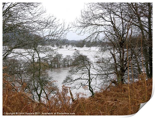 Flooded Landscape Print by Colin Daniels