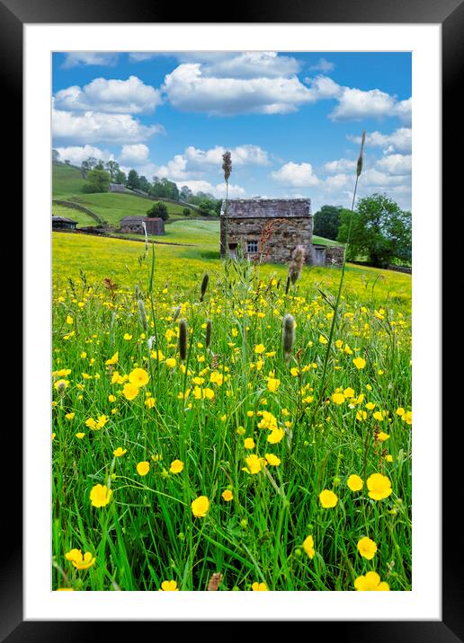 Summer Memories: Muker Wildflower Meadow Framed Mounted Print by Tim Hill