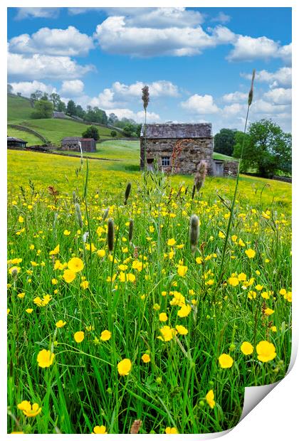 Summer Memories: Muker Wildflower Meadow Print by Tim Hill