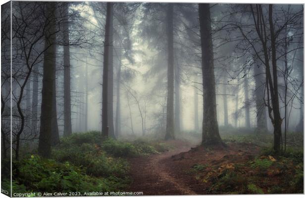 Misty Forest Pathway Canvas Print by Alex Calver