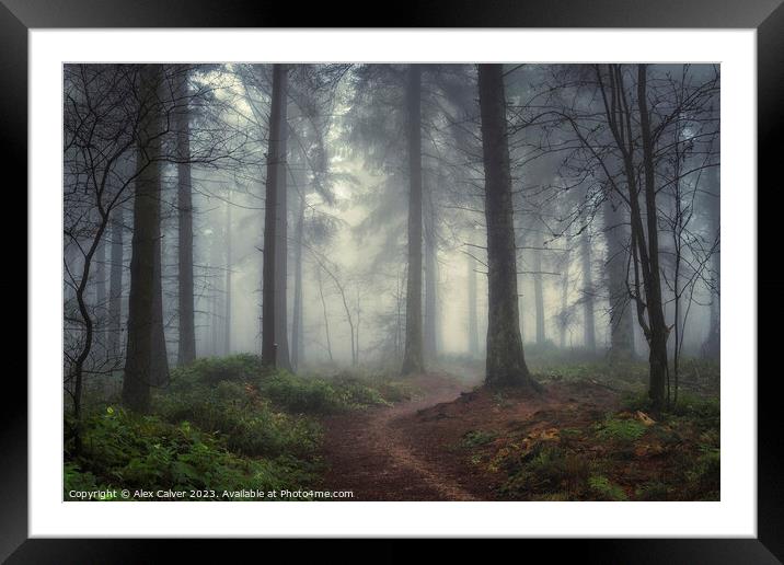 Misty Forest Pathway Framed Mounted Print by Alex Calver