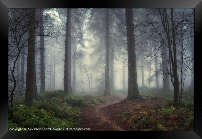 Misty Forest Pathway Framed Print by Alex Calver