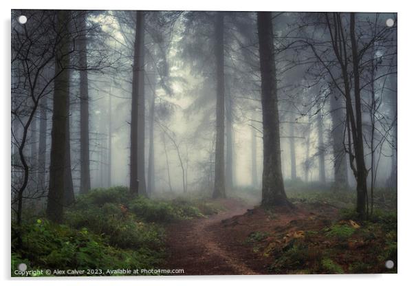 Misty Forest Pathway Acrylic by Alex Calver