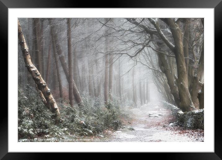 A wintery Pathway Framed Mounted Print by Alex Calver