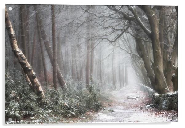 A wintery Pathway Acrylic by Alex Calver