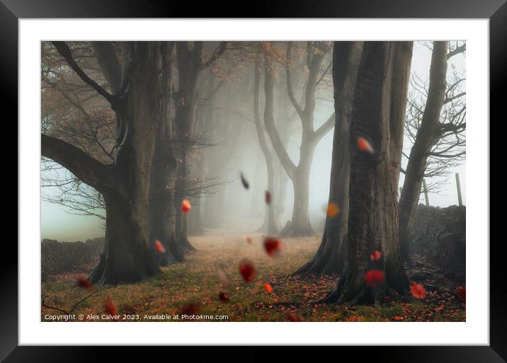 The Autumn Leaves Fall Framed Mounted Print by Alex Calver