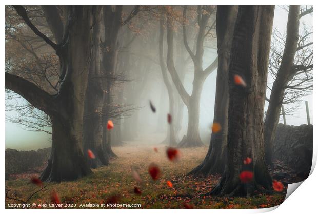 The Autumn Leaves Fall Print by Alex Calver