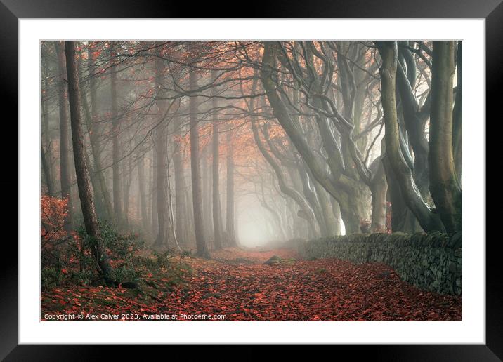 Autumn Pathway Framed Mounted Print by Alex Calver