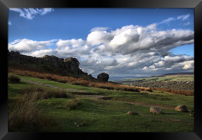 ilkley. moor .cow. and. calf. rocks. west.. yorksh Framed Print by simon sugden