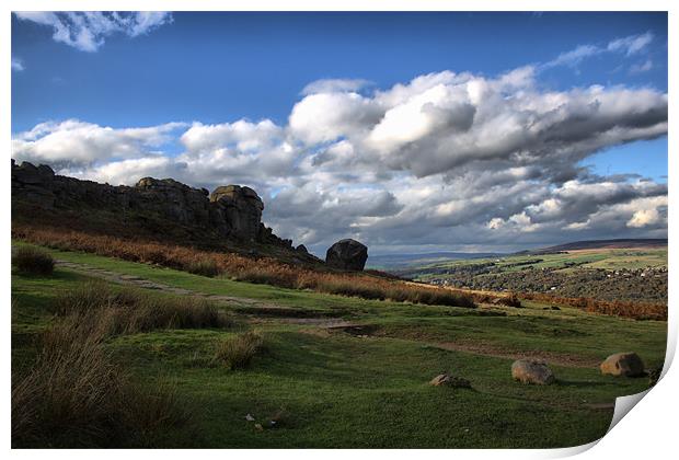 ilkley. moor .cow. and. calf. rocks. west.. yorksh Print by simon sugden