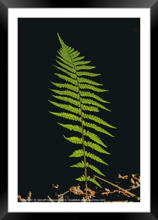 Whispering Ferns: A Microcosm Unveiled Framed Mounted Print by Simon Johnson