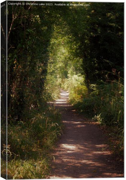 A Walk In Natures Pleasant Green Canvas Print by Christine Lake