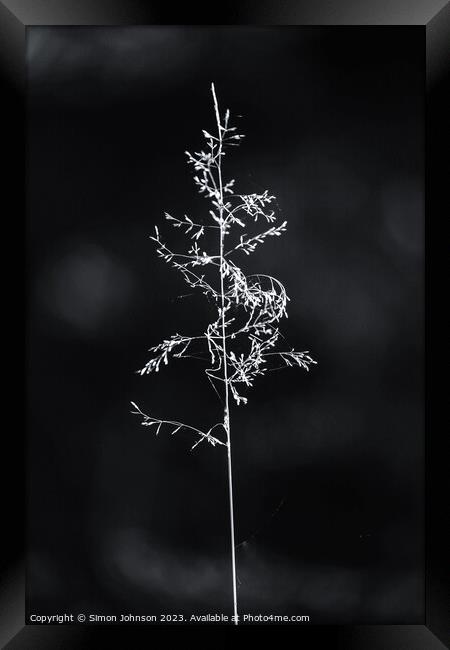 sunlit grass Framed Print by Simon Johnson